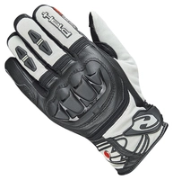 Held 22247 Sambia 2W1 Evo