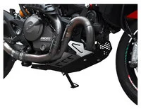 Engine Guard In Black