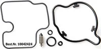Vergaser-Reparatur-Kit