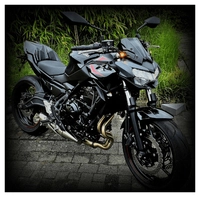 Indicatore di direzione a LED Blisk