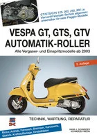 Gt, Gts, Gtv 125-300