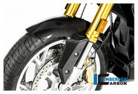 Cz. z wł. węgl. do BMW R1250 R/RS, 19-