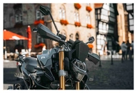 Hand Guards Sport