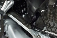 Carbonteile for BMW  R1200 R/RS/GS