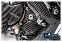Carbonteile für BMW S1000 RR ab 2019