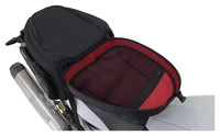 Louis Anniversary Edition Rear Pannier
