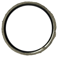 Exhaust gasket