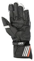 GP Plus R V2