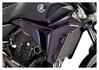 Radiator Cover