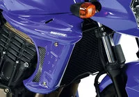 Radiator Cover