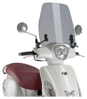 Rollerscheiben