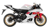 LeoVince LV-One Evo Exhaust System