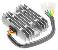 Lithium-ion-generatorregulator