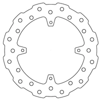 Brake Disc Rear