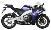 Delta Race Auspuffsystem mit EG-BE