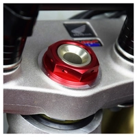 Steering head nut