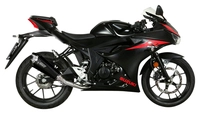Delta Race Auspuffsystem mit EG-BE