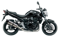 LeoVince LV-One Evo Exhaust System