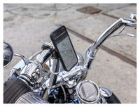 Handlebar Mount Pro, Chrome, Large