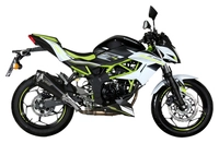 Delta Race Auspuffsystem mit EG-BE