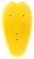 SCL-19