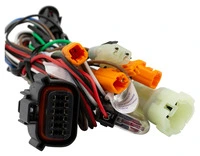 HPS câble adaptateur spécifique modèle