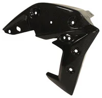 Carbonteile Triumph Speed Triple 11-15
