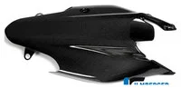 Carbonteile für Ducati Monster/glänzend
