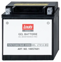 Gel-Battery