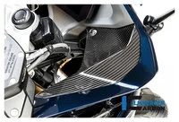Carbonteile für BMW R1250 R/RS 19-