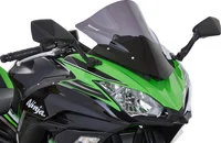 Bulle Racing