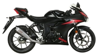 Delta Race Auspuffsystem mit EG-BE