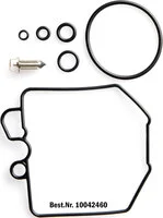 Vergaser-Reparatur-Kit