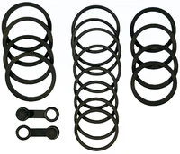Set riparazione pinza freno TMX