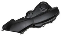 Carbon Teile für Ducati Monster/matt