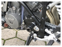 Engine guard