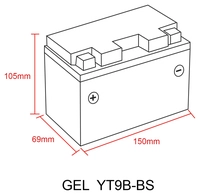Gel Batterie
