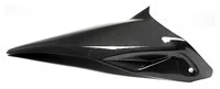 Carbonteile für Ducati Monster 1200 /glänzend