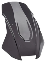 Sportowa szyba przednia z ABE