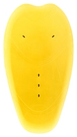 SCL-19