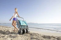 Handcart Foldable