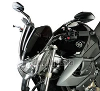 Naked Bike Scheibe