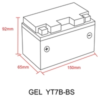 Gel-Accu