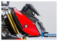 Carbonteile für BMW S1000 R ab 2014