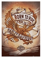 Boîte puzzle Born to Ride
