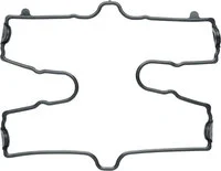 Valve cover gasket/spark plug tube seal