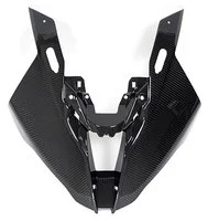 Carbon parts for BMW S1000 RR from 2019