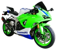 Parabrezza Racing