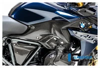 Carbon parts for BMW R1250 R/RS 19-
