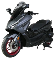 Vario-Touringscreen